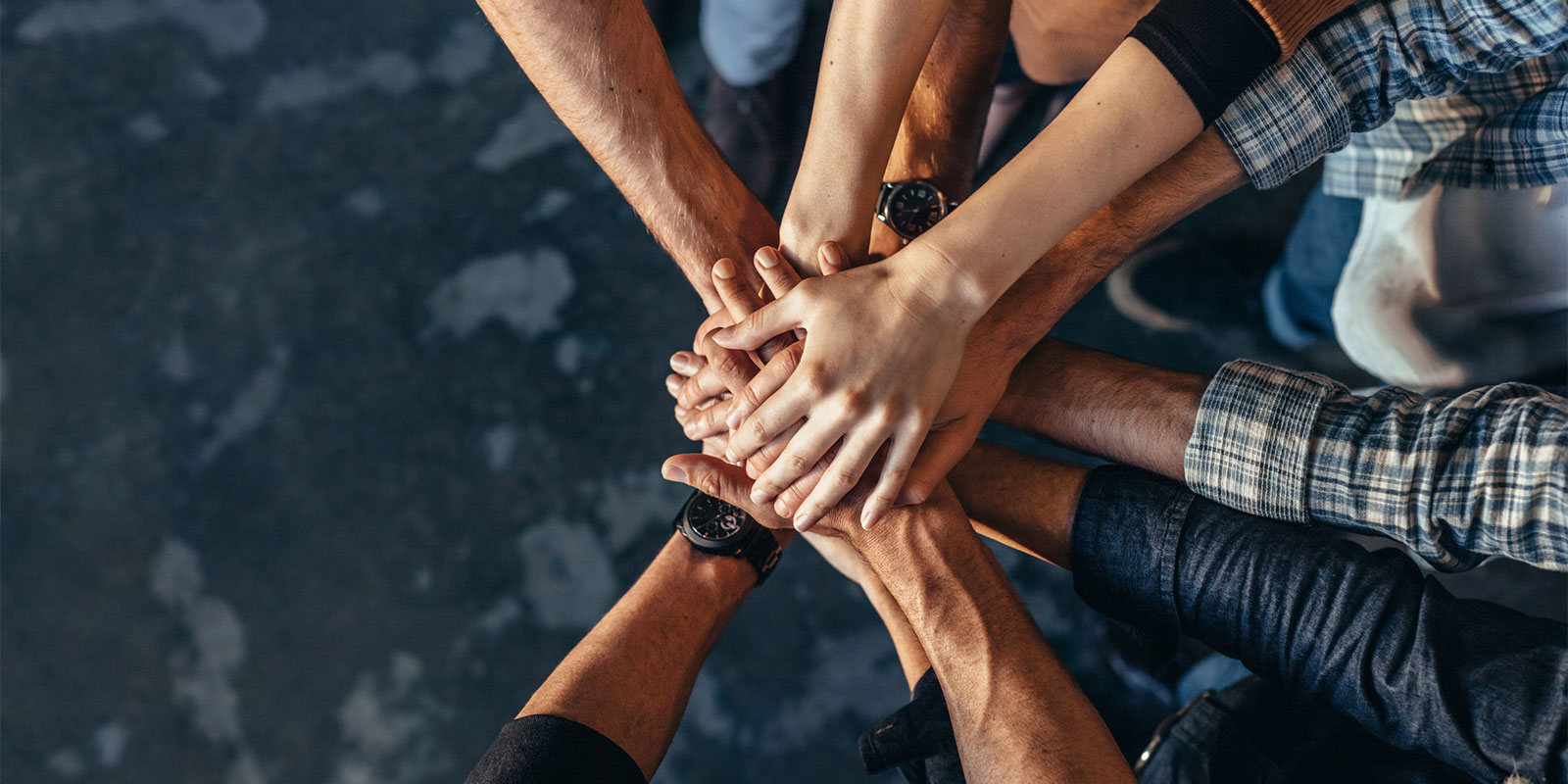 Parent Advisory Council